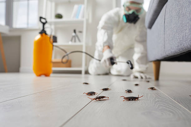 Post-Treatment Bed Bug Interceptor Monitoring in Wayne